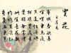 ssh4-2-1.jpg (43196 字节)