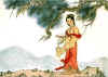 ssh5-3a.jpg (14501 ֽ)